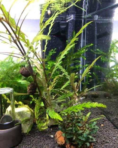 Konkav HMF - der platzsparende Hamburger Mattenfilter, unauffällig und leistungsstark