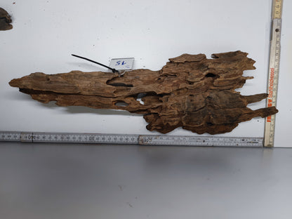 Drachenholz / Dragonwood / Ameisenholz