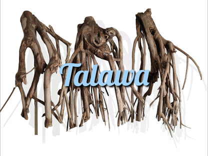 Talawa wood