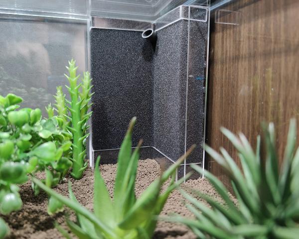 Konkav Innenfilter mit Luftheber im Kallax Aquarium