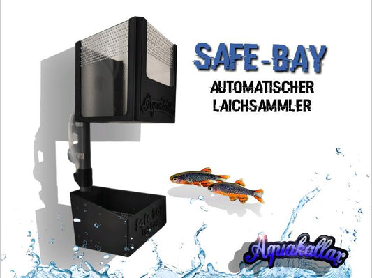 Safe-Bay die Laichfalle Eierfalle für eine erfolgreiche Zucht. Aquakallax