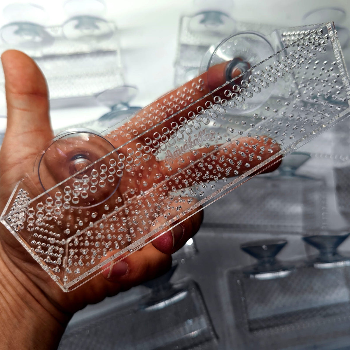 Lange transparente Aquakallax Bucen-Box mit gelochten Wänden und Saugnäpfen in der Hand