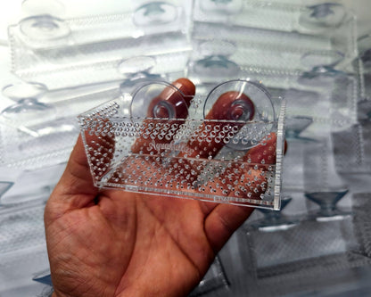 Transparente Aquakallax Bucen-Box mit zwei Saugnäpfen und gelochter Front in der Hand