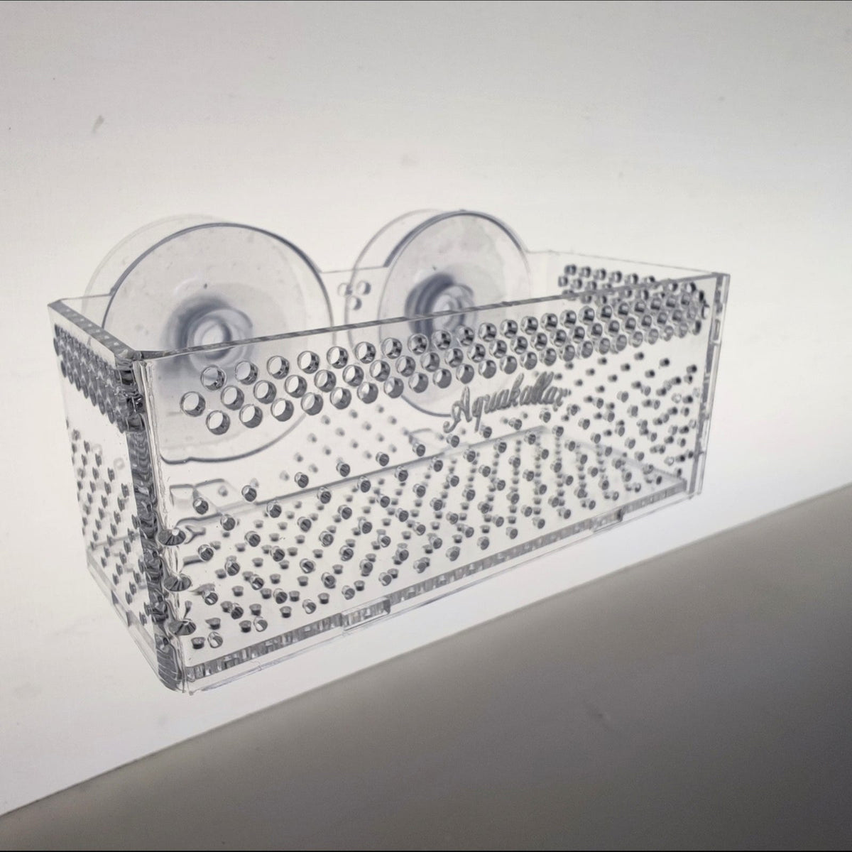 Transparente Aquakallax Bucen-Box mit Schriftzug, gelochten Wänden und zwei Saugnäpfen im quadratischen Produktfoto