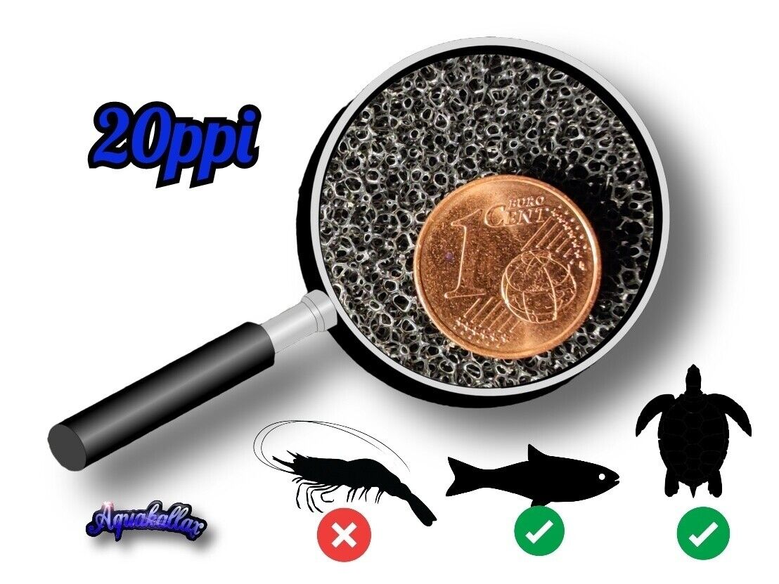 Porenstruktur einer Aquakallax Filtermatte mit 20 ppi, dargestellt mit Lupe und 1-Cent-Münze als Größenvergleich