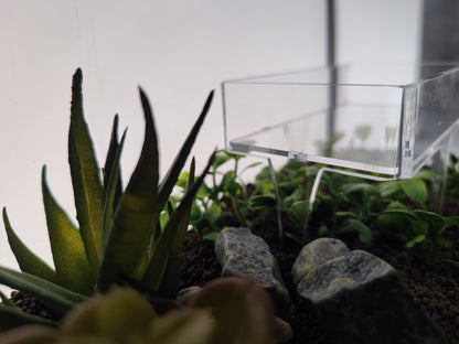 Transparentes Aquakallax Futterpodest auf Standbeinen zwischen Pflanzen und Steinen