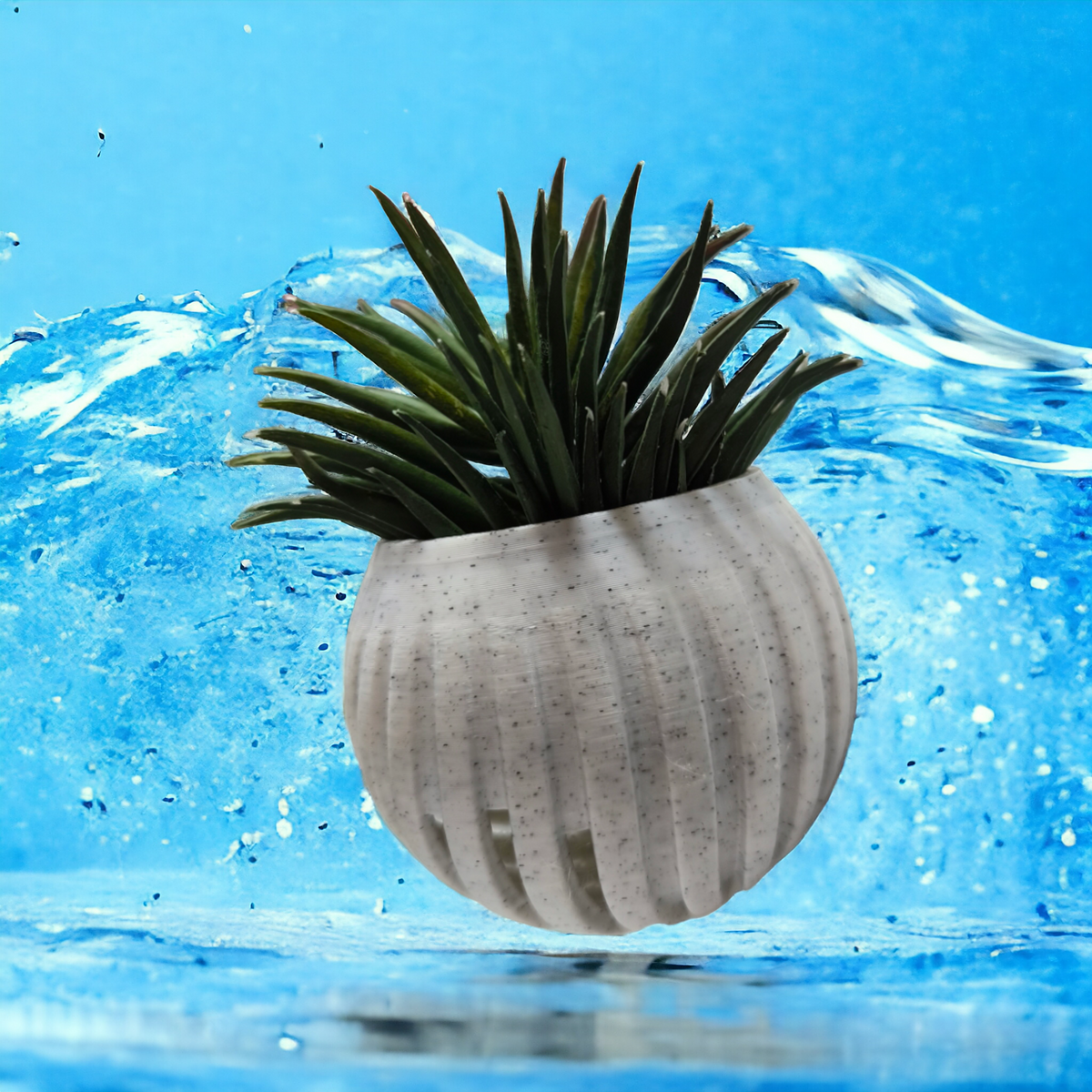 Weiße gerippte Aquakallax Magnetschale mit grüner Bepflanzung vor blauem Wasserhintergrund
