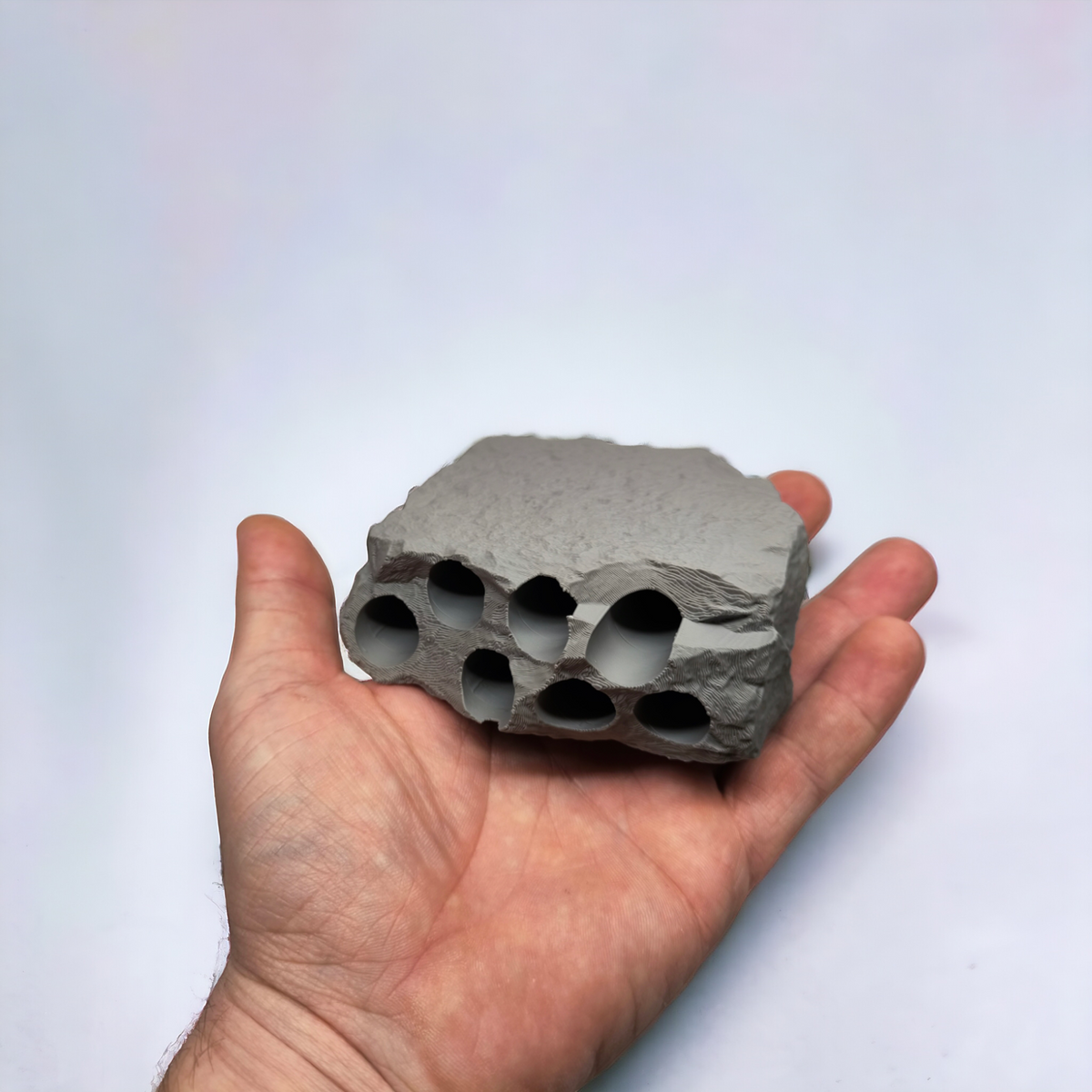Graue Aquakallax Garnelenhöhle mit sieben Röhrenöffnungen auf einer Hand als Größenvergleich
