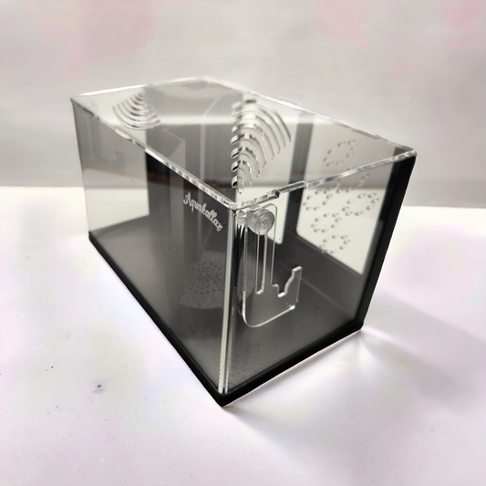 Transparente Aquakallax HMF Ablaichbox mit Deckel, schwarzem Rahmen und höhenverstellbarer Aufhängung in schräger Ansicht