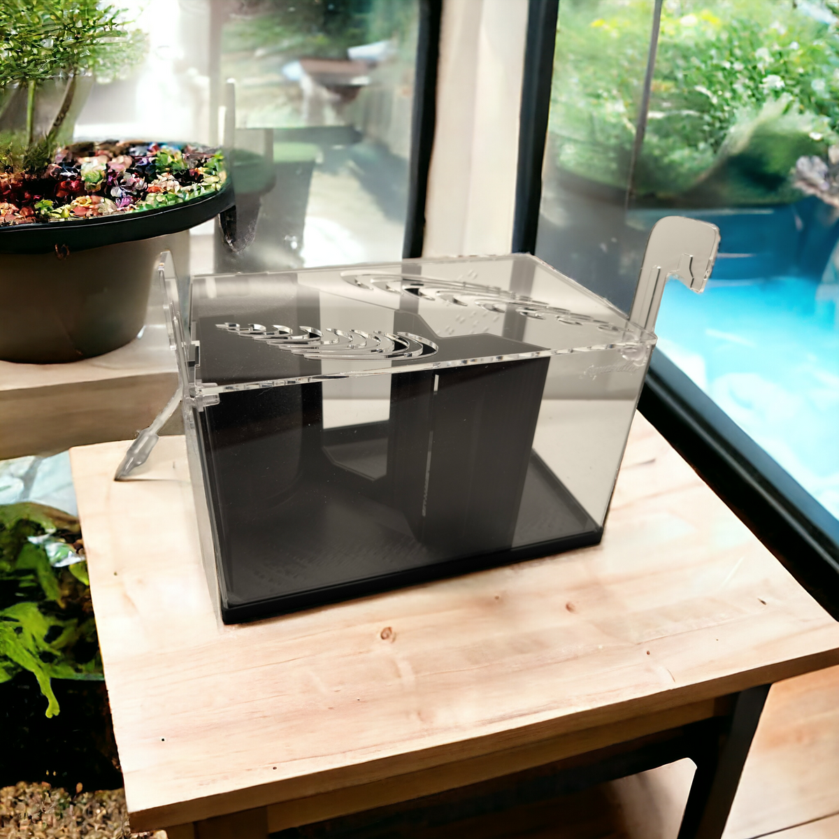 Aquakallax HMF Ablaichbox mit transparentem Deckel und Aufhängungen auf einer Holzplatte neben einem Aquarium
