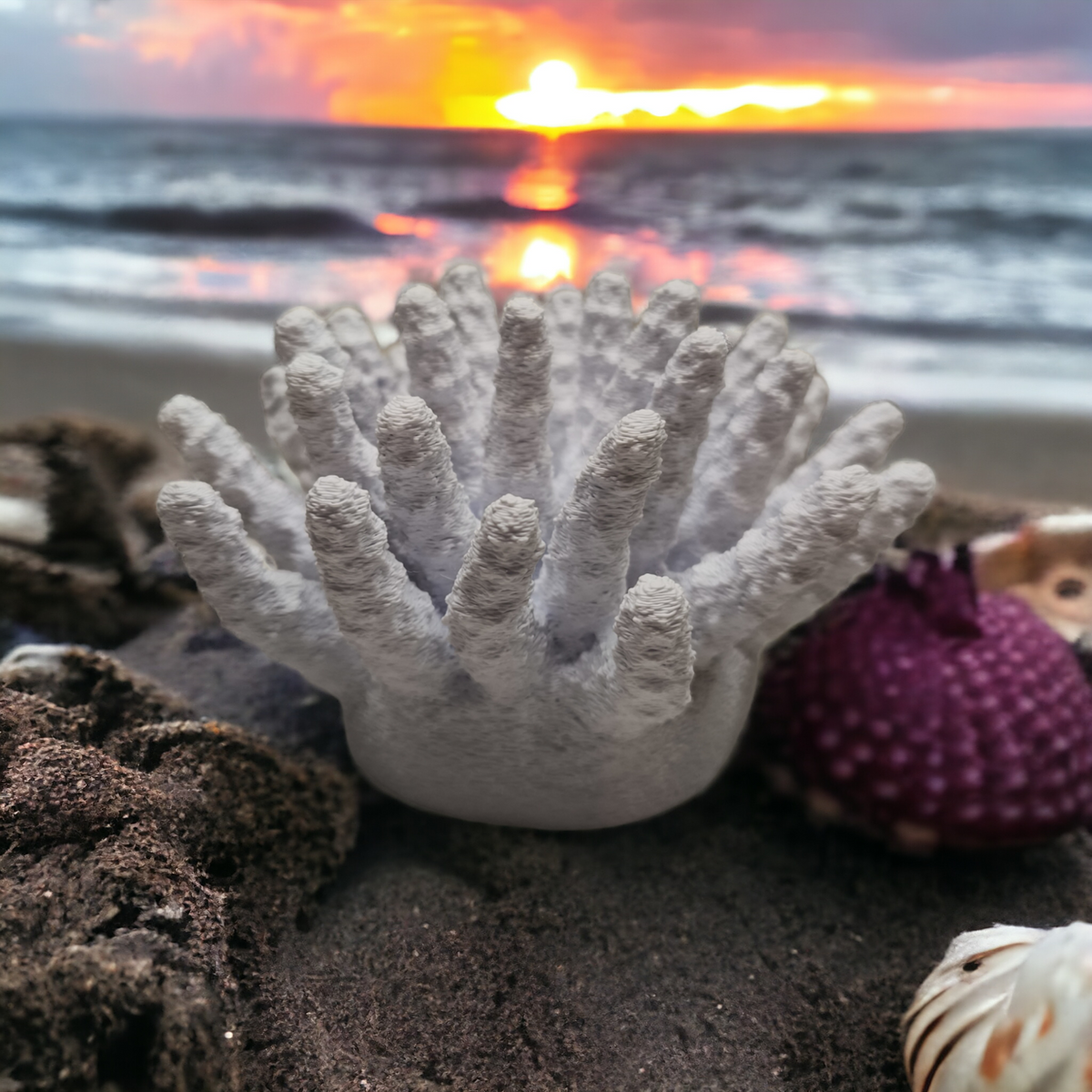 Weißer Aquakallax Magnetic Coral Fragträger mit aufrechten fingerförmigen Ästen auf Sand vor einem Sonnenuntergang am Meer
