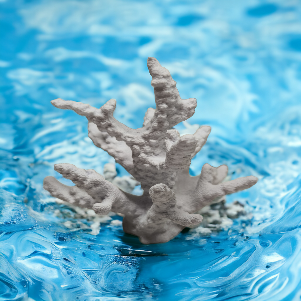 Weißer Aquakallax Magnetic Coral Fragträger mit breiten verzweigten Ästen und rauer Oberfläche vor blauem Wasserhintergrund