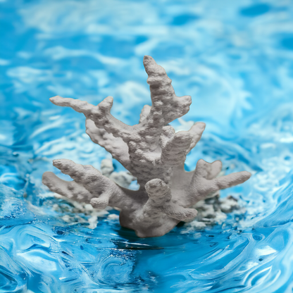 Weißer Aquakallax Magnetic Coral Fragträger mit breiten verzweigten Ästen und rauer Oberfläche vor blauem Wasserhintergrund