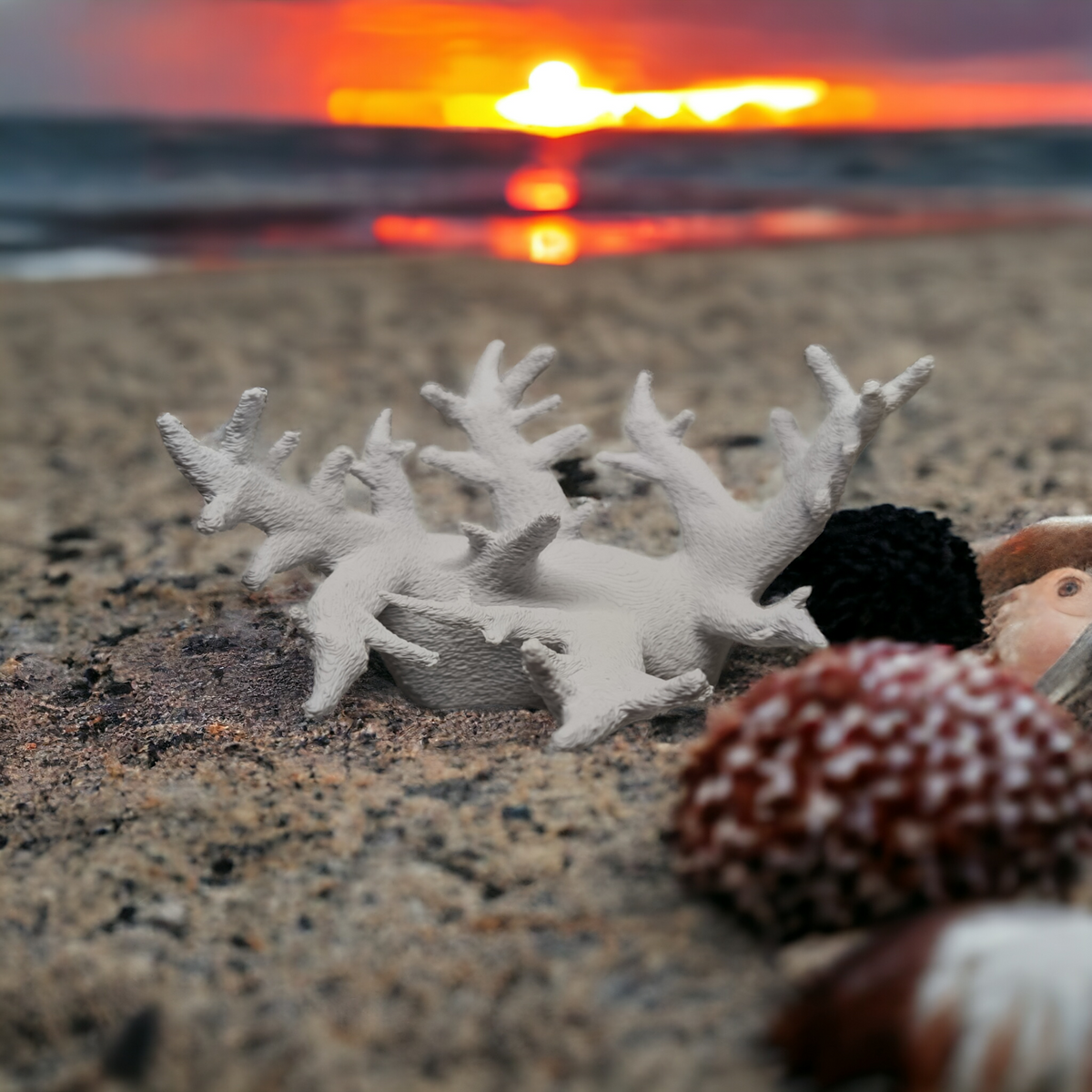 Weißer Aquakallax Magnetic Coral Fragträger in flacher verzweigter Schalenform auf Sand neben Muscheln vor einem Sonnenuntergang