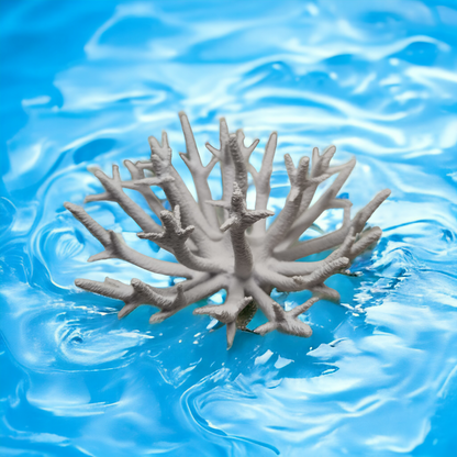 Weißer Aquakallax Magnetic Coral Fragträger mit strahlenförmig verzweigten Ästen, Draufsicht vor blauem Wasserhintergrund