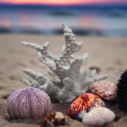 Weißer Aquakallax Magnetic Coral Fragträger mit rauen Ästen auf Sand zwischen Muscheln und Seeigelgehäusen
