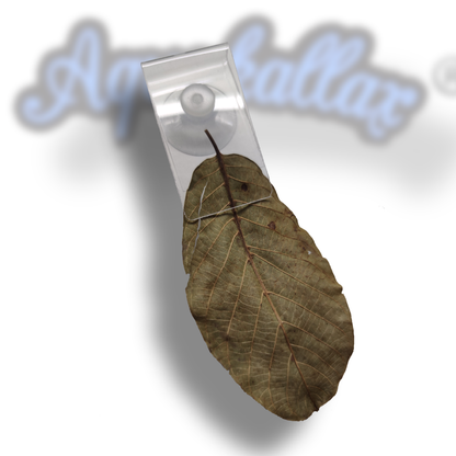 leaf clip