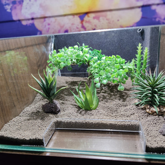 Futterhilfen – Aquakallax