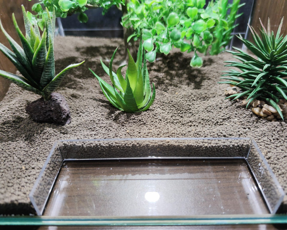 Futterplatz im Aquarium