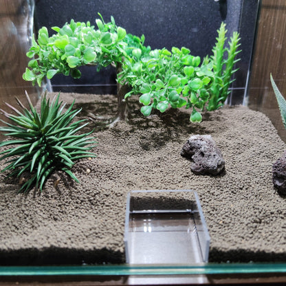 Futterplatz im Aquarium