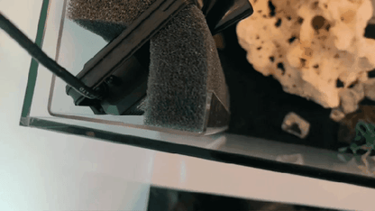 Hamburger Mattenfilter - clevere Magnetbefestigung