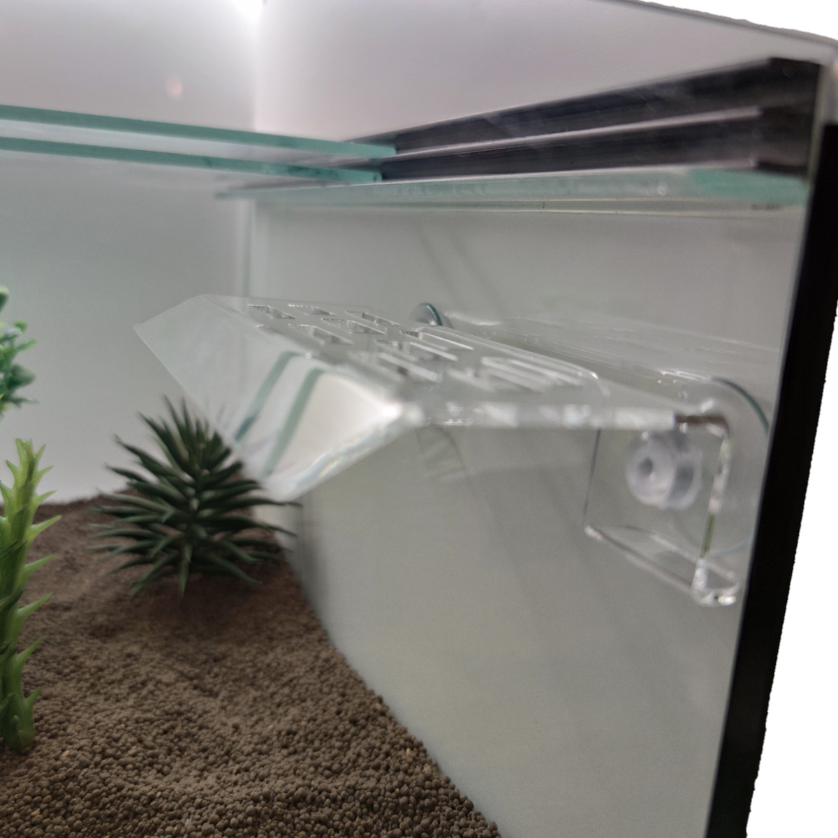 Aquakallax Schneckenbalkon mit Saugnäpfen an der Aquarienscheibe über Bodengrund und Pflanzen